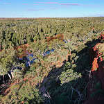 Aerial landscape view of Australian man standing on a cliff looking at Fortescue River in Millstream Chichester National Park in the Pilbara region Western Australia