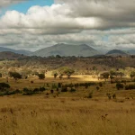 Complex cloud optimisation thumbnail