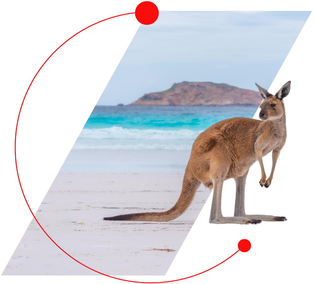 Kangaroo Graphic@2x.png e1779694924651